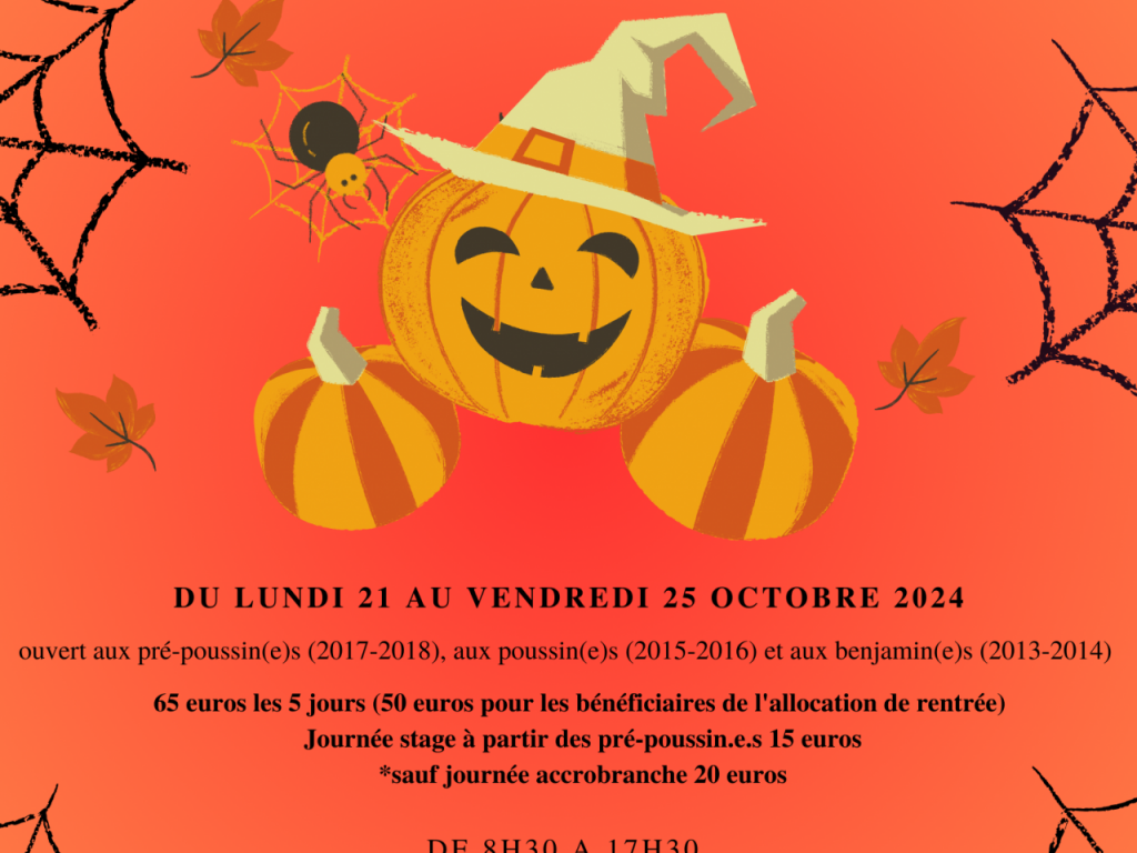 Image de l'actu 'STAGE DE LA TOUSSAINT'